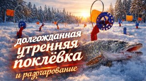 Зимняя рыбалка. Ставим жерлицы, утренняя поклёвка и разочарование.