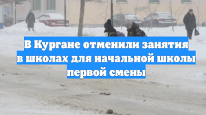 В Кургане отменили занятия в школах для начальной школы первой смены