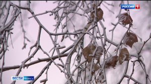 Вести-Томск, выпуск от 20.01.2026 21:10