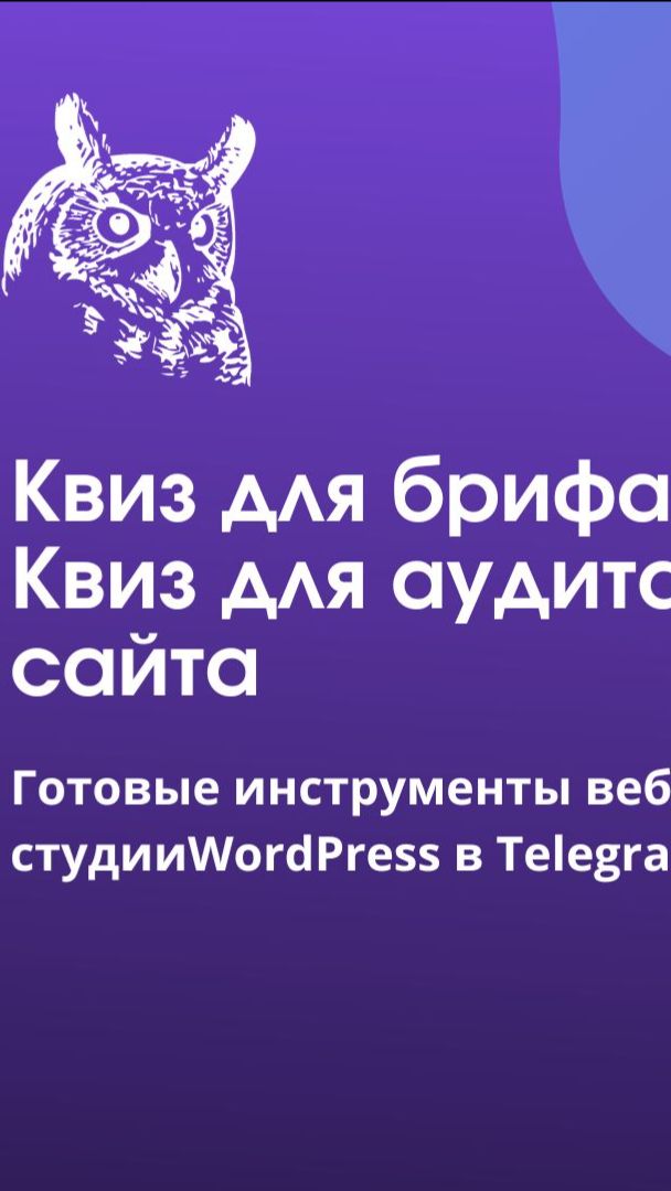 Шорт аудит сайта смотреть онлайн