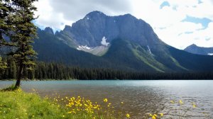 Звуки озера Лоуэр-Элк 🌲 | Нежные звуки озера для сна и учебы — Расслабляющий пейзаж природы