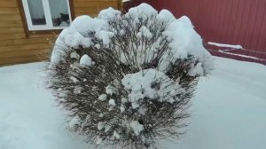 Зимний день