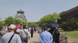 Япония 2025. Замок в Осаке ч.2