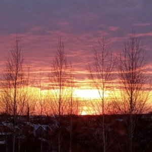 утро с рэборном.