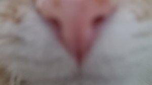 играем в майн