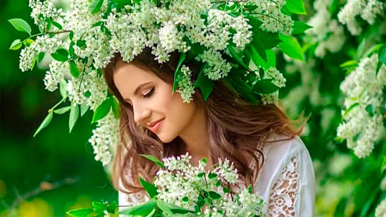 Душевная Песня "Пьяная черёмуха" - В. Зотов смотреть онлайн