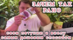 Ничего лишнего - КАК И КОГДА СЕЯТЬ ПЕТУНИЮ.