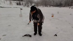 21.01.26 г. РК Волна.