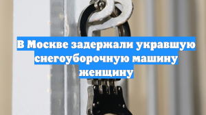 В Москве задержали укравшую снегоуборочную машину женщину