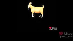 Эпштейн эдит