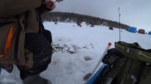 Селёдка пошла! Ловлю ведрами