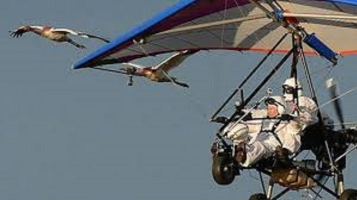 Путин и косяк. Песня Евгения Гордеева. смотреть онлайн