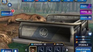 выводим ихтеостэгу