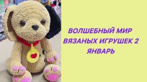 СП « Волшебный мир вязаных игрушек 2». Январь