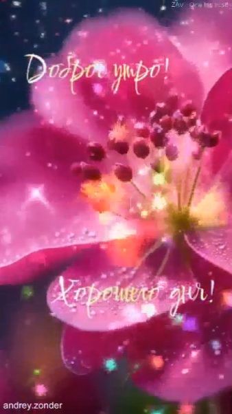 Доброе утро!) Замечательного дня!) #доброеутро смотреть онлайн