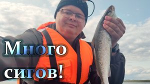 На новом комплекте на рыбалку за сигами на Имандре!
