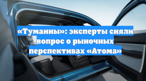 «Туманны»: эксперты сняли вопрос о рыночных перспективах «Атома»