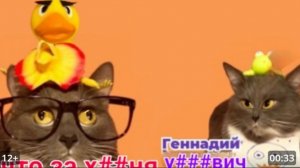 Котинет смешно смотреть онлайн 1 часть