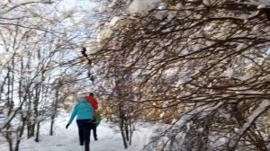 В 58 лет с горки как в детстве