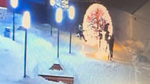 Криминальное фото