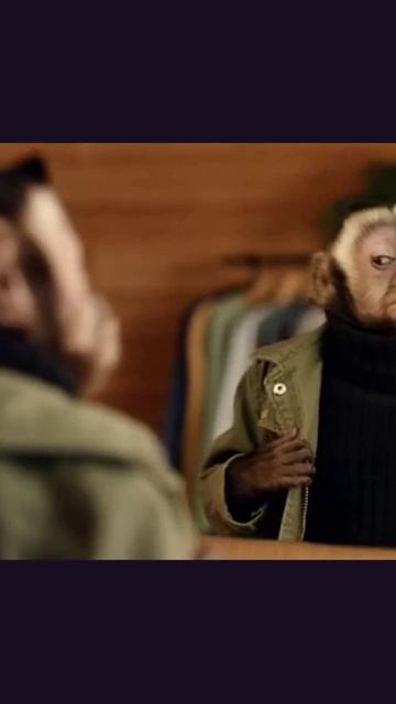 говорящие_мартышки юмор_с_животными приключения_мартышек микрофон_и_мартышка животные_в_интерне