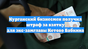 Курганский бизнесмен получил штраф за взятку для экс-замглавы Кетово Бабкина