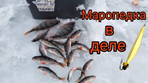 Ловля ОКУНЯ ЗИМОЙ на блесну.озеро Бельское.