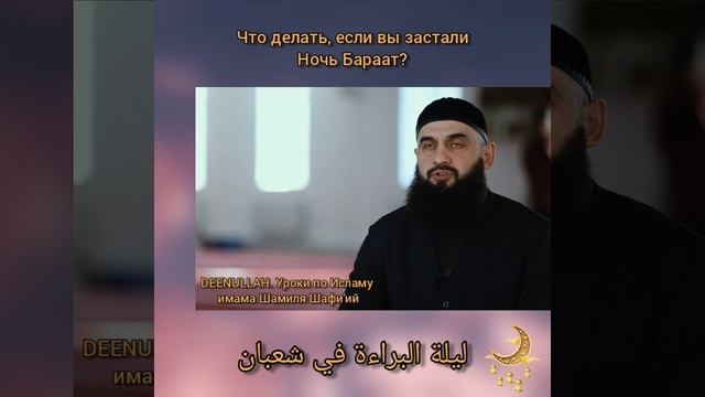 Что делать, если застал ночь Бараат? Шейх Шамиль аш-Шафи'ий. смотреть онлайн
