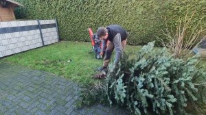 Кусторез. Измельчаем новогоднюю ёлку