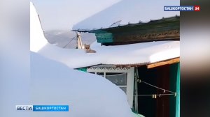 Уснула на крыше частного дома: лисицу сняли на видео в башкирском селе Бурангулово