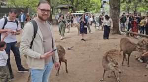 04.2025.Япония часть 3. Олени в Нара парк, ночная улица Дотонбури в Осаке