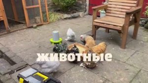 Важное объявление