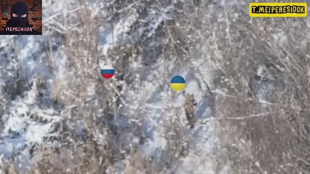 Расковыряли муравейник и добили муравьёв смотреть онлайн