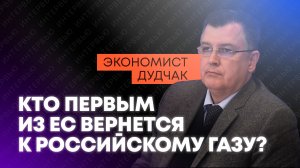 Дудчак: отказ от российского газа уничтожил промышленность Европы