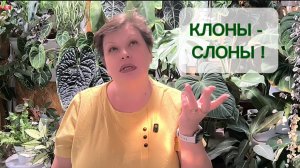 КЛОНЫ... НЕУДАЧА НЕ ГАРАНТИРОВАНА ! 21-01-2026