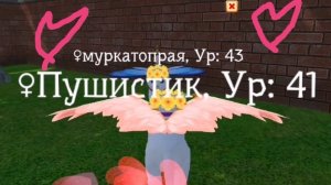 МОЯ ПОДРУГА СМЕНИЛА СКИН НЕМНОЖКО И ПОМЕНЯЛА НИК НЕМНОЖКО В Cute Pocket Cat 3D