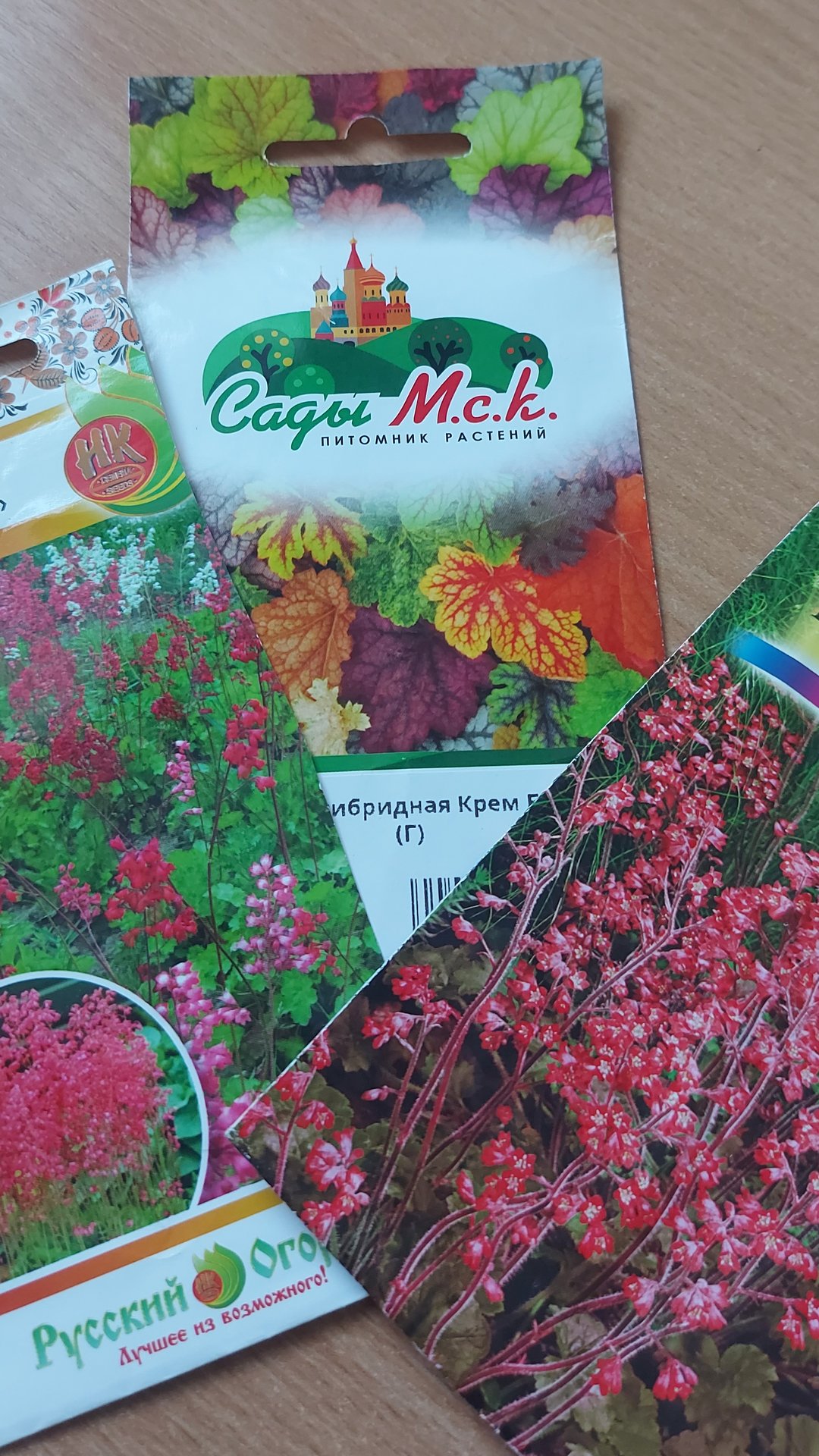 Гейхера из семян. Самая пора посеять👌🌸 смотреть онлайн