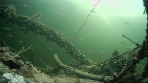 1000008154.mp4Волга гл.2м.21.01.2026г.