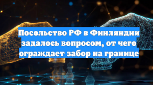 Посольство РФ в Финляндии задалось вопросом, от чего ограждает забор на границе