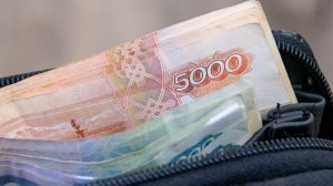 Финансовый советник назвал главную причину жизни «от зарплаты до зарплаты»