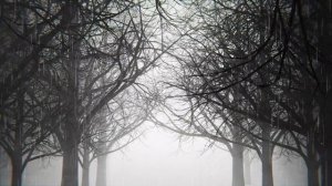 Успокаивающая мелодия созданная ИИ