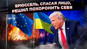 Конец ЕС уже решён. Трамп и Украина одним махом добьют "единую Европу"