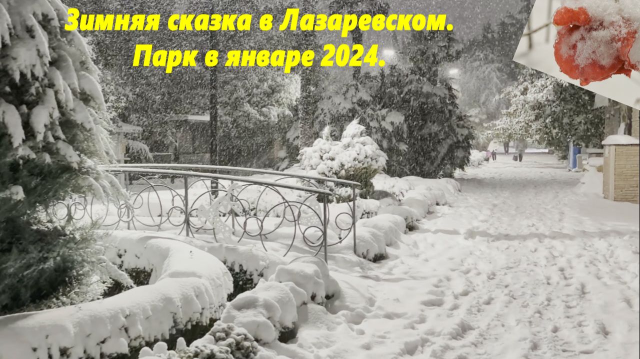 Зимняя сказка в Лазаревском! Парк в январе 2026! смотреть онлайн