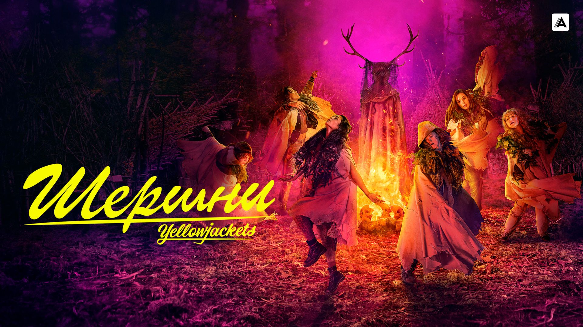 Шершни (краткий пересказ сериала 1-2 сезон. Сериальный кот)