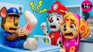 Щенячий патруль и Маршалл. Залипательное видео. Мультфильм для детей и малышей. Анимация 88