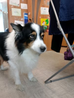 еще чу чуть и нас будет 200