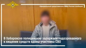 В Хабаровске полицейские задержали подозреваемого в хищении средств вдовы участника СВО