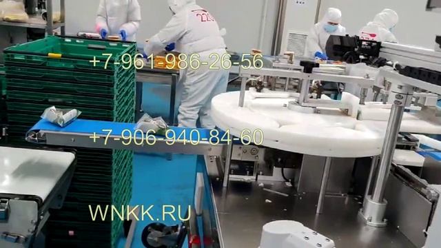 Линия по производству и упаковке онигири (модель NWF-26) смотреть онлайн