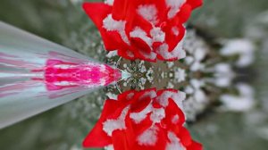 С Днём Рождени!!! Зимняя сказка для Единственной 5 от Киностудии Мудрого Кота Тимофея!