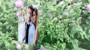 Полюбила ВЕСТА Автор видео Нина Рудакова